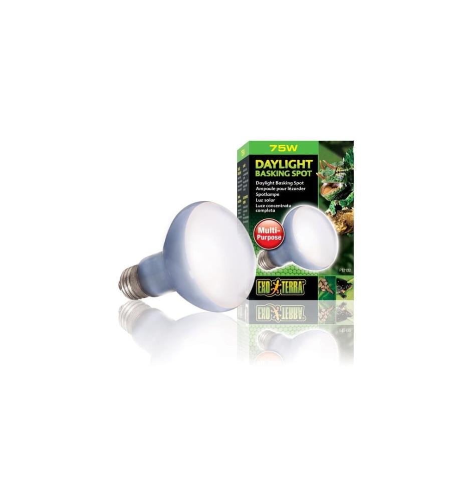 Exo Terra - Terrarienlampe Daylight Basking Spot E27, R20/75W