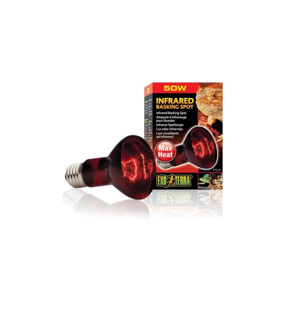Exo Terra - Terrarienlampe Infrared Basking Spot E27, R20/50W