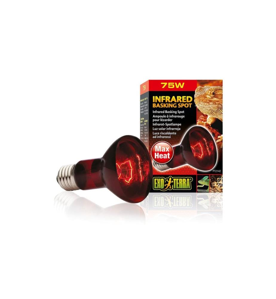 Exo Terra - Terrarienlampe Infrared Basking Spot E27, R20/75W