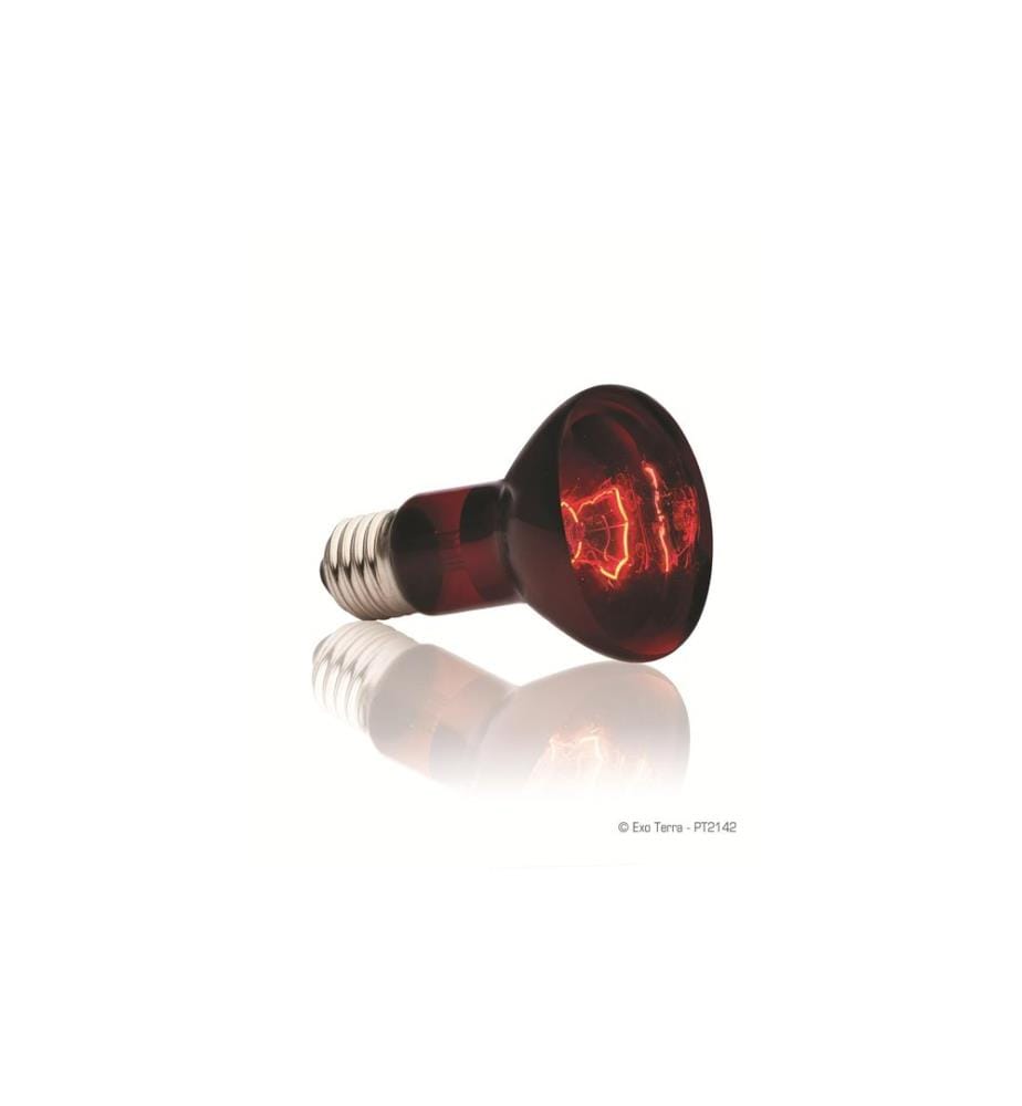 Exo Terra - Terrarienlampe Infrared Basking Spot E27, R20/75W