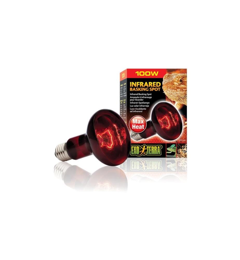 Exo Terra - Terrarienlampe Infrared Basking Spot E27, R25/100W