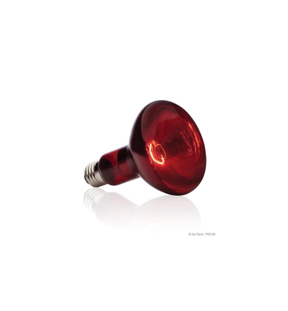 Exo Terra - Terrarienlampe Infrared Basking Spot E27, R30/150W