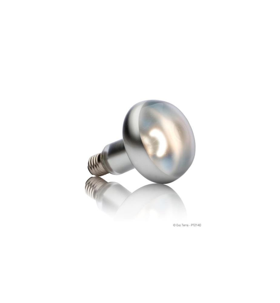 Exo Terra - Terrarienlampe Intense Basking Spot E27, R30/150W