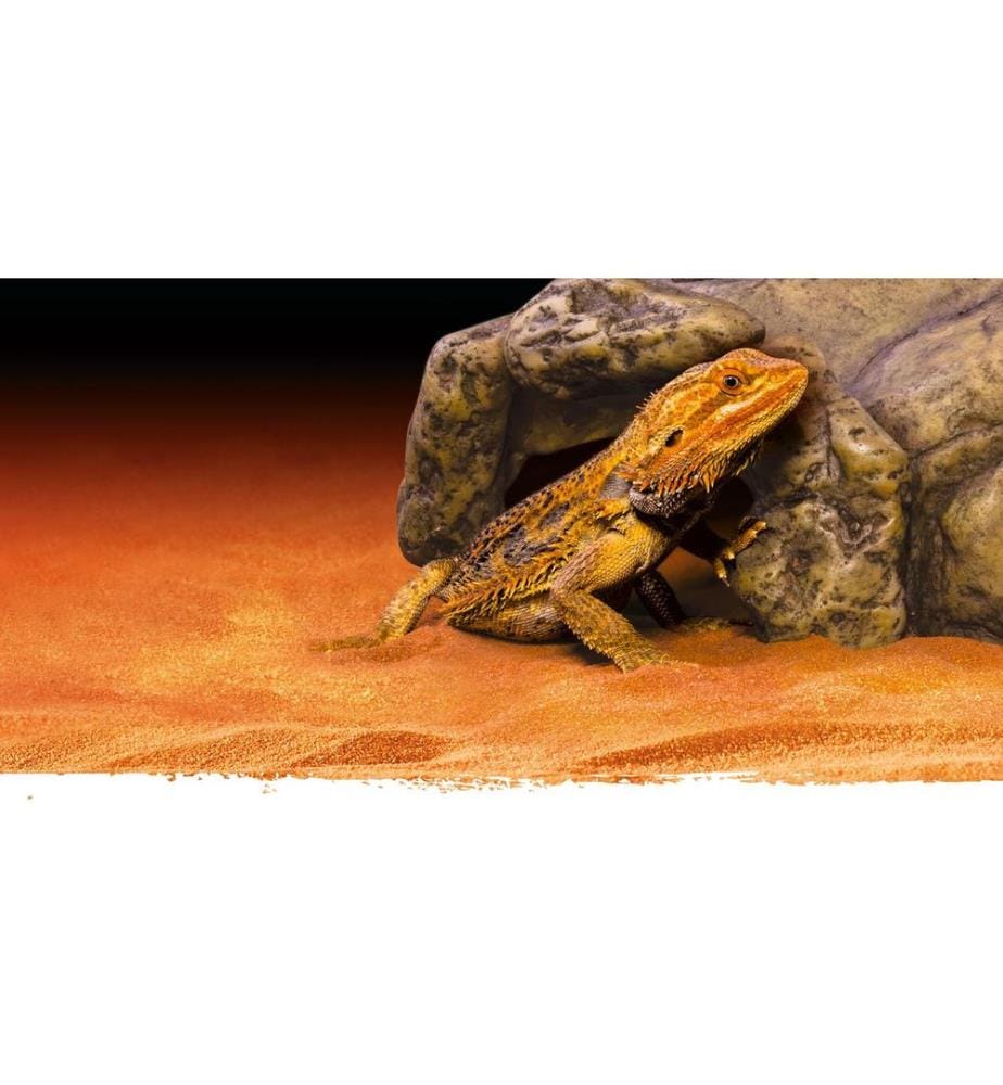 Exo Terra - Höhle Reptile Cave S, 8 x 15 x 14 cm