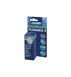 Hobby Aquaristik - Zubehör Planaria X