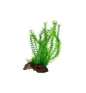 Hobby Aquaristik - Kunstpflanze Flora Root 3, L, 30 cm