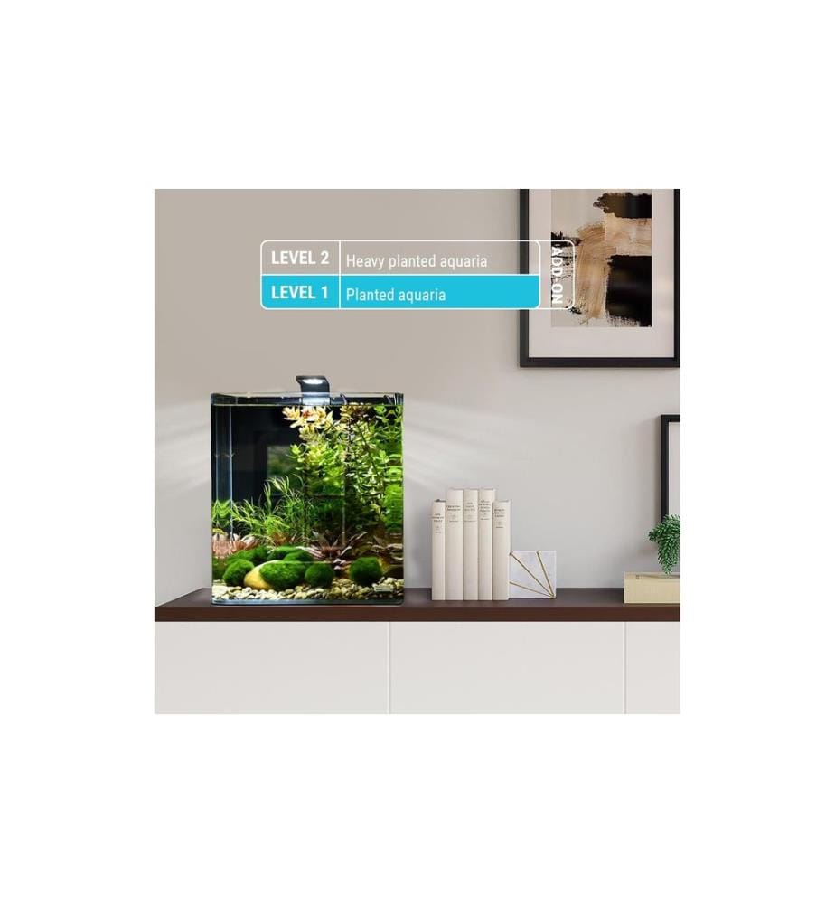 DENNERLE - Soin des plantes Plant Care Basic Root, 10 pièces