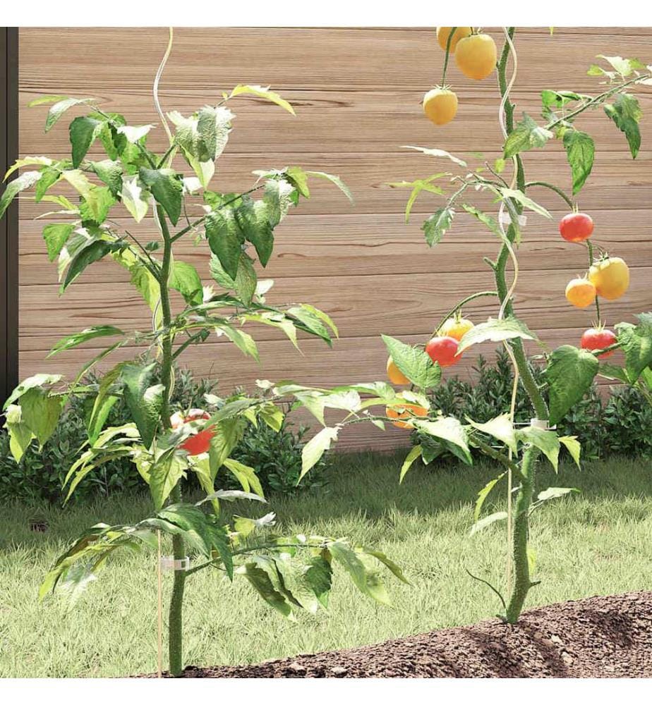 Tomaten-Spiralstäbe 5 Stk. 110 cm Verzinkter Stahl