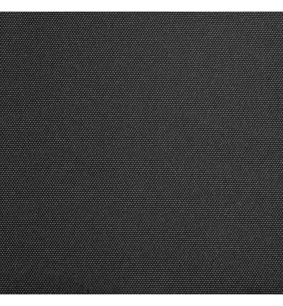 Markisenbespannung Canvas Anthrazit 600x300 cm