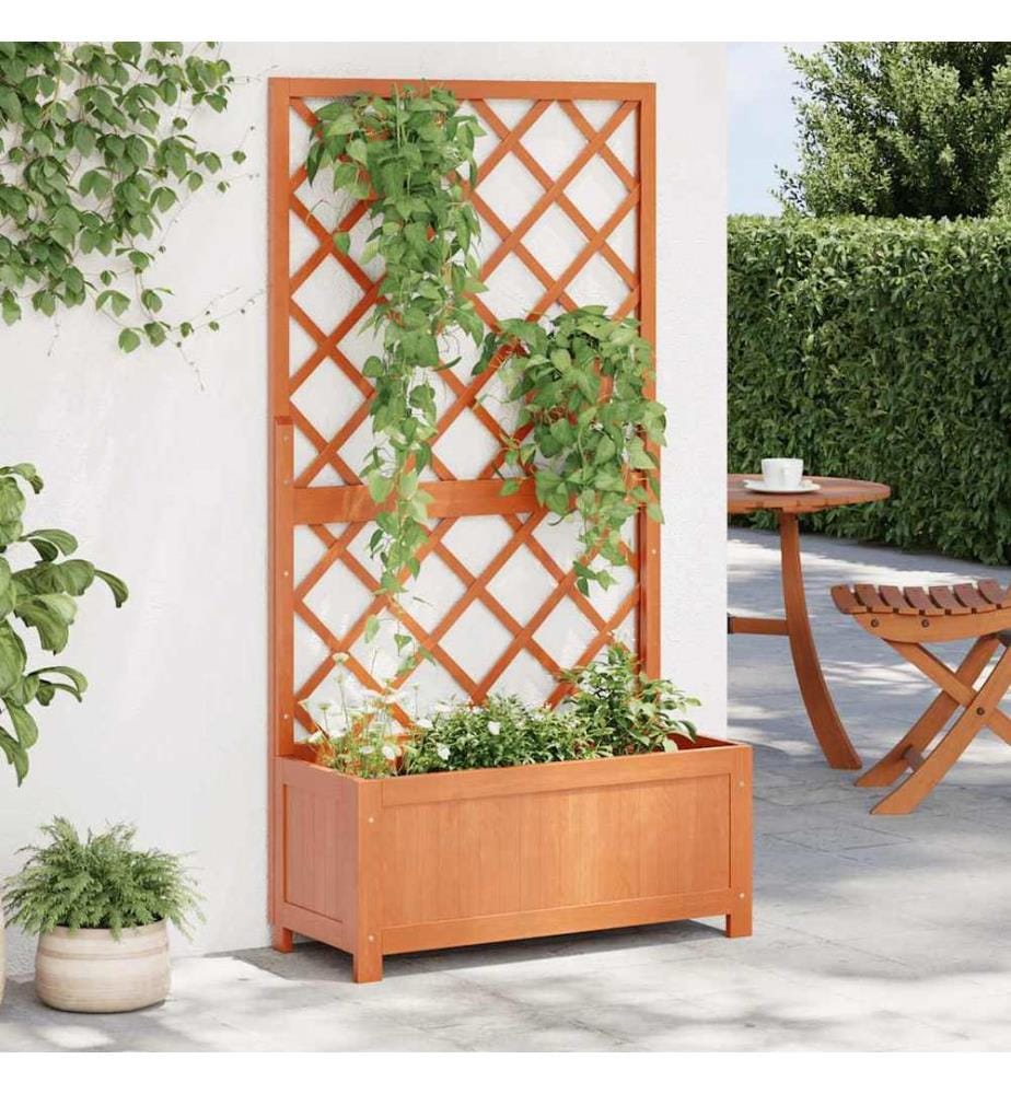 Jardinière à treillis jardin Marron 70x30x135 cm Bois de sapin