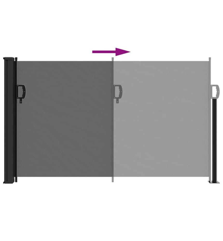 Store latéral rétractable Anthracite 120 x 600 cm