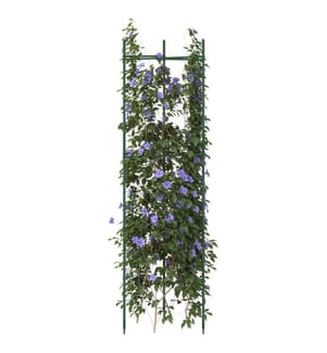 Cage à tomates 2 pcs 116 cm acier et PP