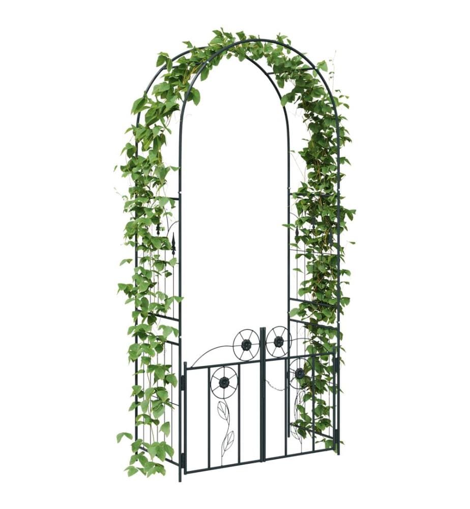 Arche de jardin avec verrouillage Noir 102 x 50 x 218 cm