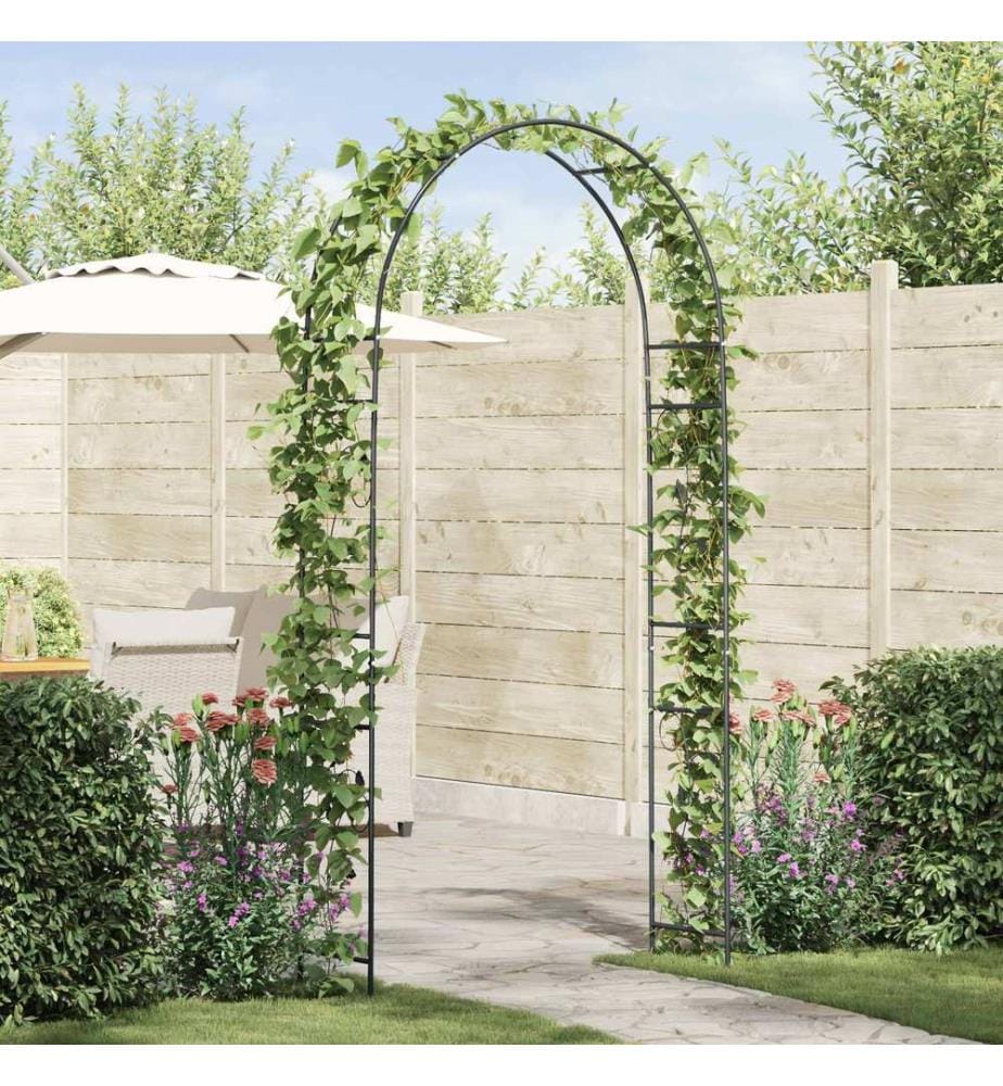 Arche de jardin Floral Noir 115 x 37 x 231 cm