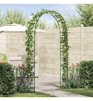 Arche de jardin Floral Vert 115 x 37 x 231 cm