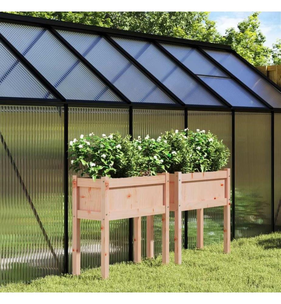 Jardinières 2 pcs avec pieds bois massif douglas