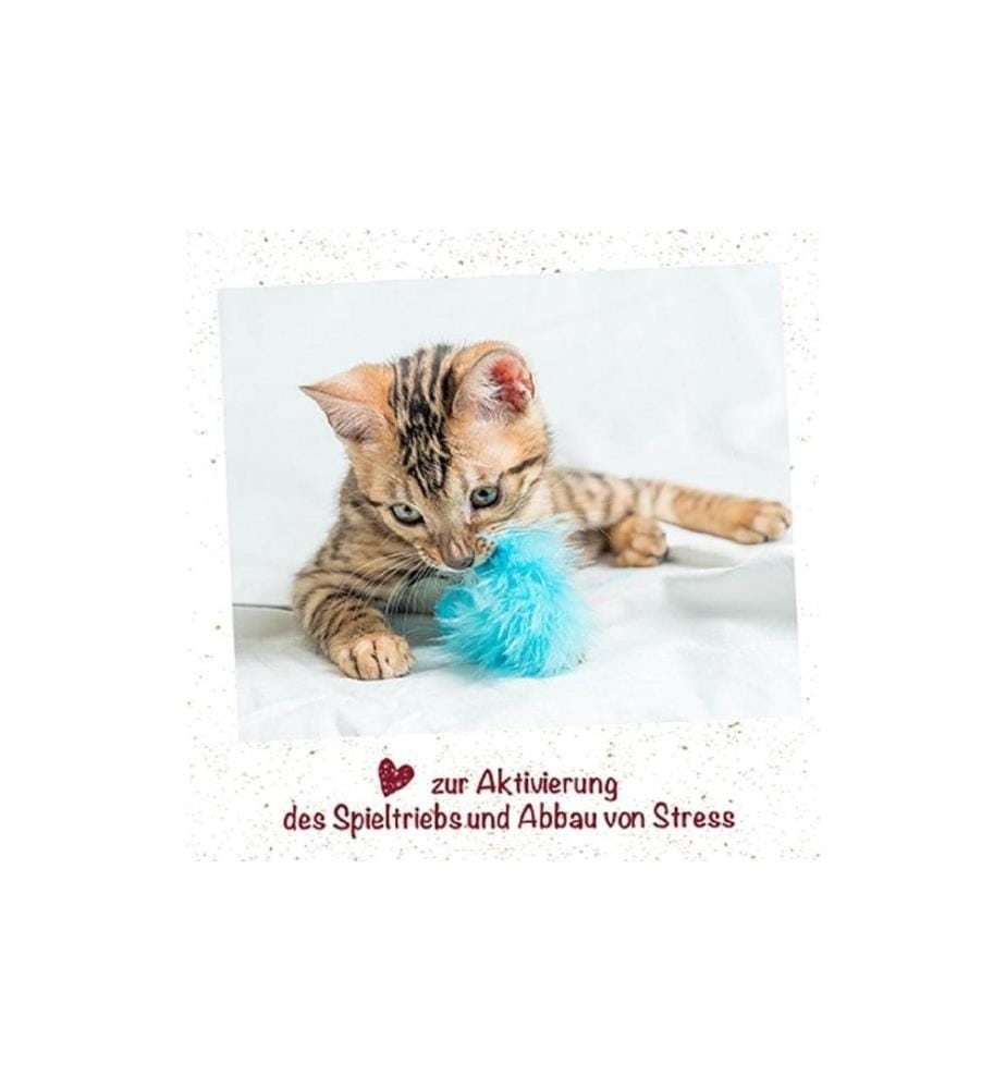 CDVET - feliTATZ Menthe pour chats en spray, 50 ml