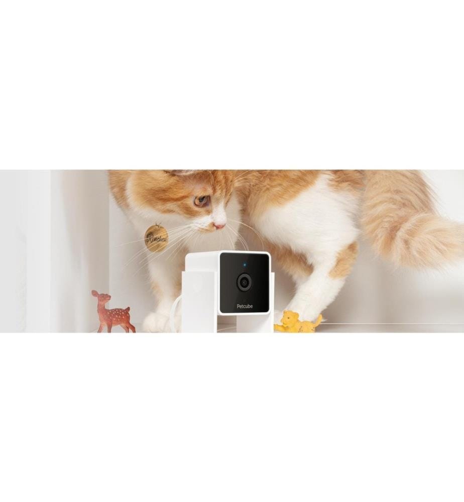 PETCUBE - Caméra pour animaux domestiques Pet Cube