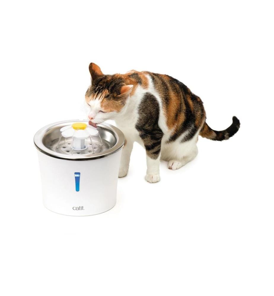 CATIT - Distributeur d'eau Flower Fountain acier, 3 l
