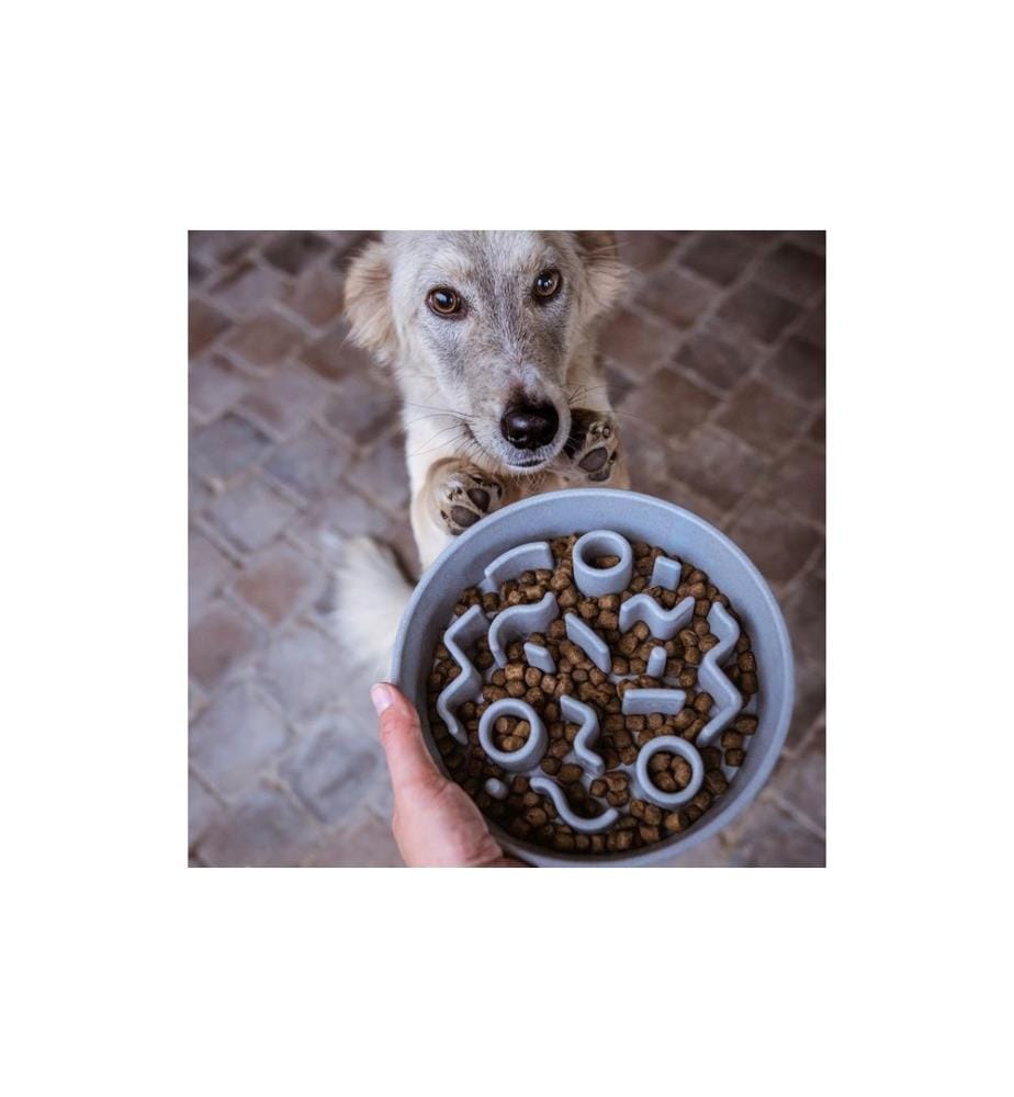 DISTRICT 70 - Bol en bambou Bamboo Dog Slow Feeder Ø 28 cm, Ice-Blue