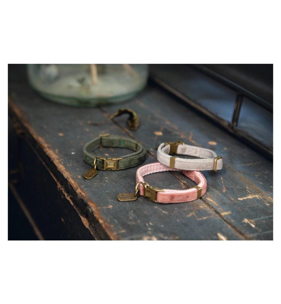 DESIGNED BY LOTTE - Collier pour chat Velura Rose