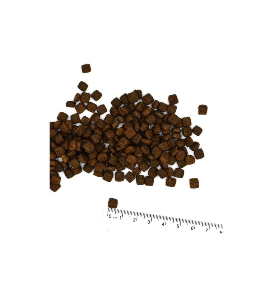 MONGE - Alimentation sèche Chat Bwild GF Stérilisé Thon 1.5 kg