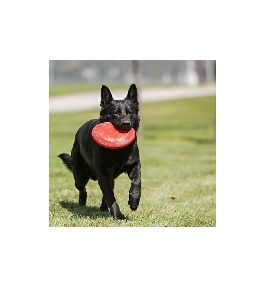 KONG - Hunde-Spielzeug Flyer Frisbee, Ø 18 cm, rot