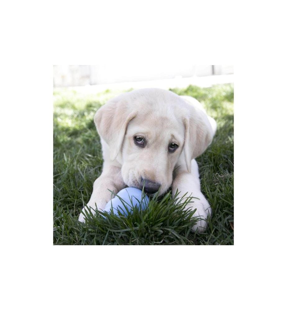 KONG - Puppy, Ø 4.5 cm x 7 cm, assortiert