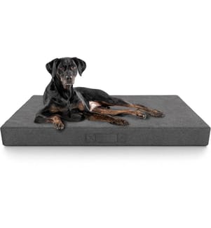 KNUFFELWUFF - Orthopädische inkontinenz Hundematte Lenie XL, Grau