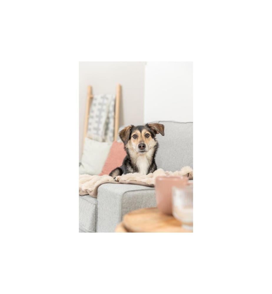 TRIXIE - Couverture pour chien Elli 100 x 70 cm, sable