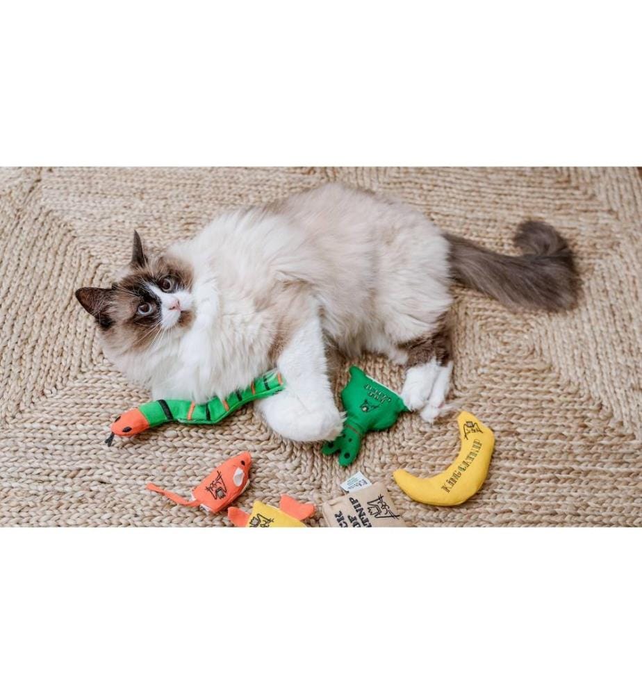 King Catnip - Jouet pour chat Souris 15 x 6 x 5 cm