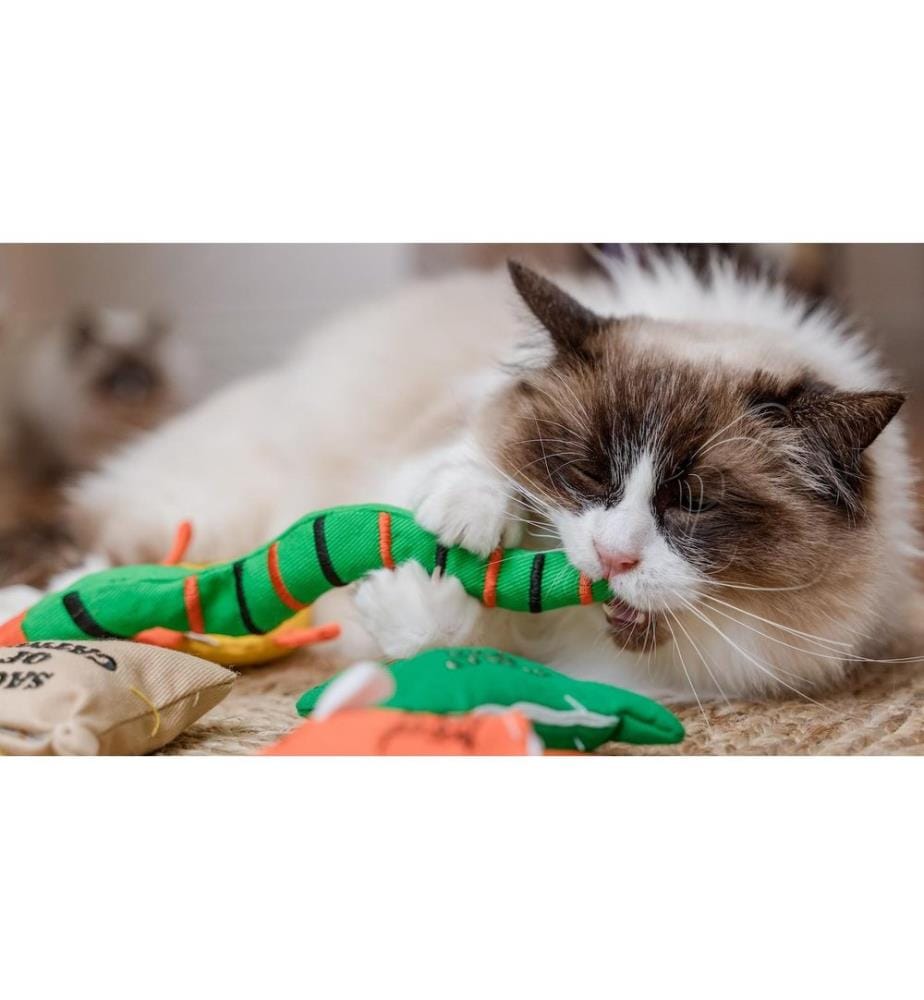 King Catnip - Jouet pour chat Serpent 29 x 3 x 4 cm