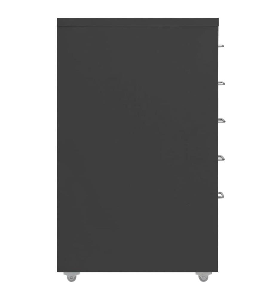 Aktenschrank mit Rollen Anthrazit 28x41x69 cm Metall