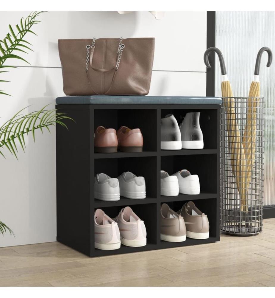 Schuhregal Schwarz 52,5x30x50 cm