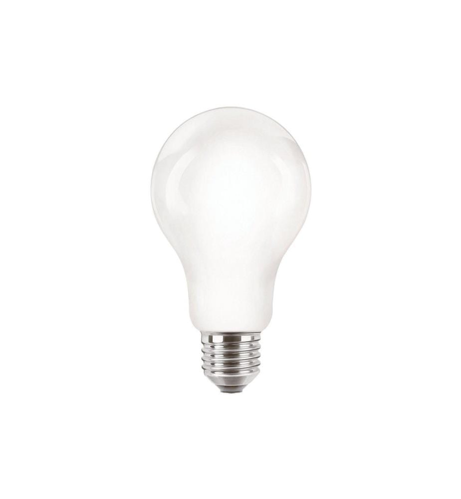 Philips Professional - Lampe CorePro LEDBulb ND 120W E27 A67 840 FR G