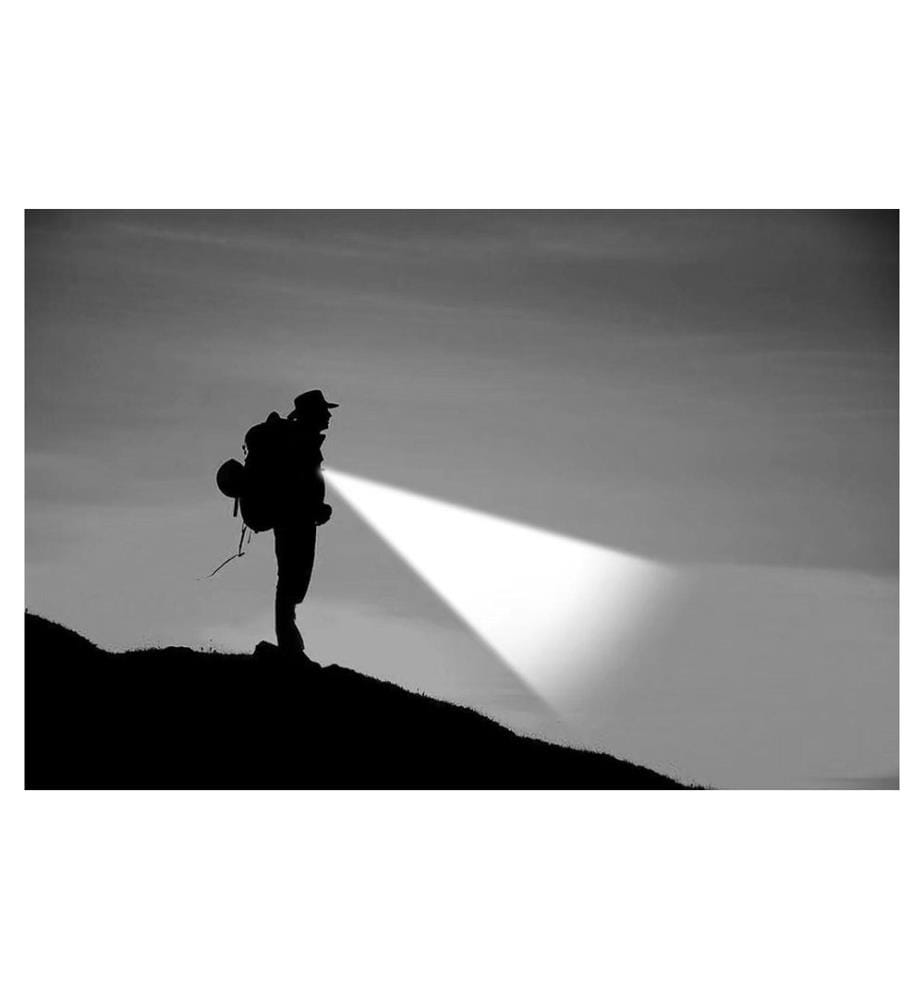 NORDRIDE - Taschenlampe LED Scout 350 lm, IP65