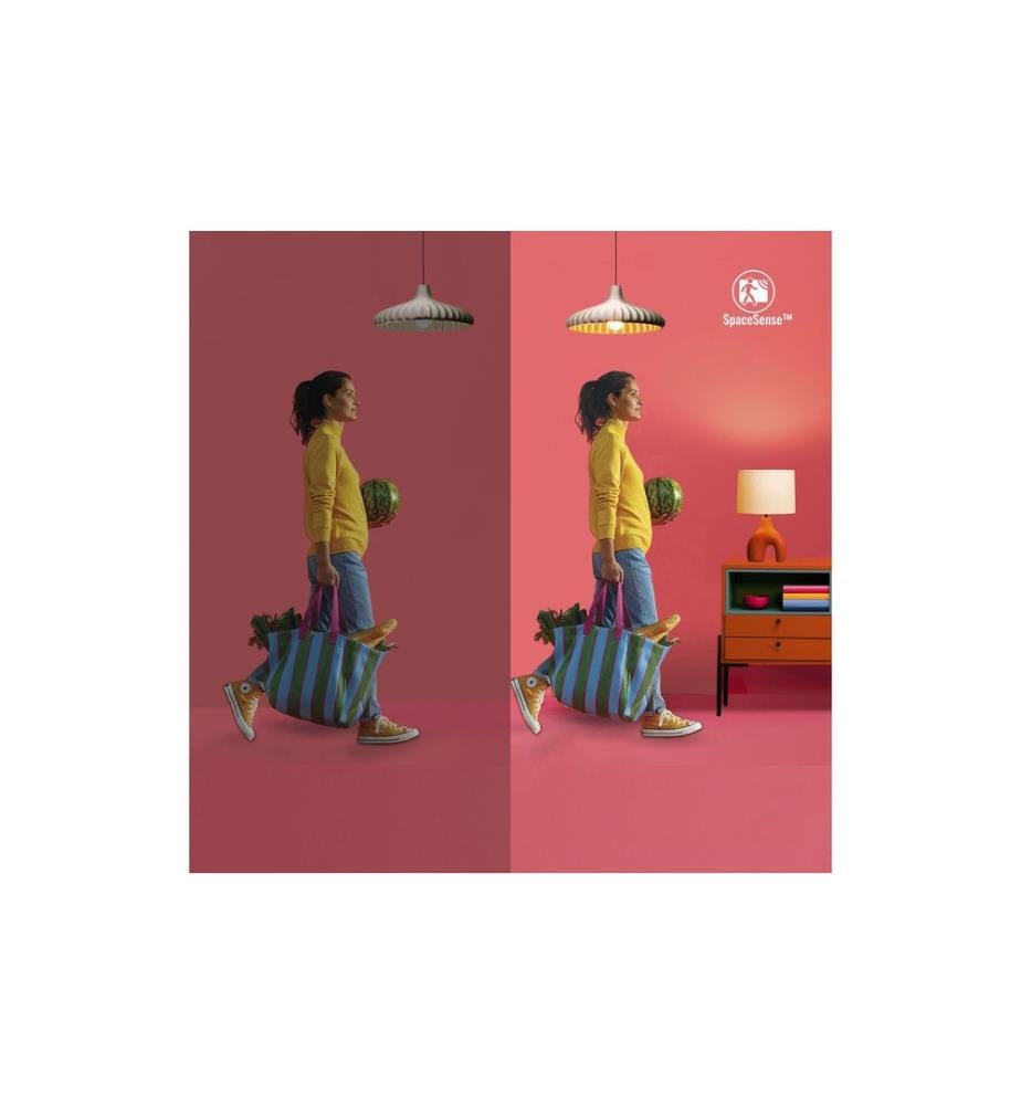 WIZ - Smart Plug CH, Matter / WLAN