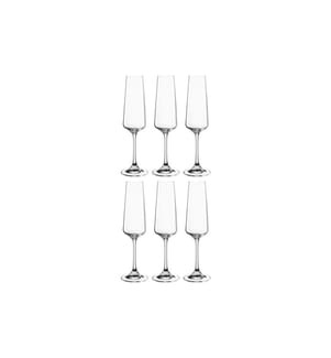 LEONARDO - Verre à champagne Paladino 220 ml, 6 Pièce/s