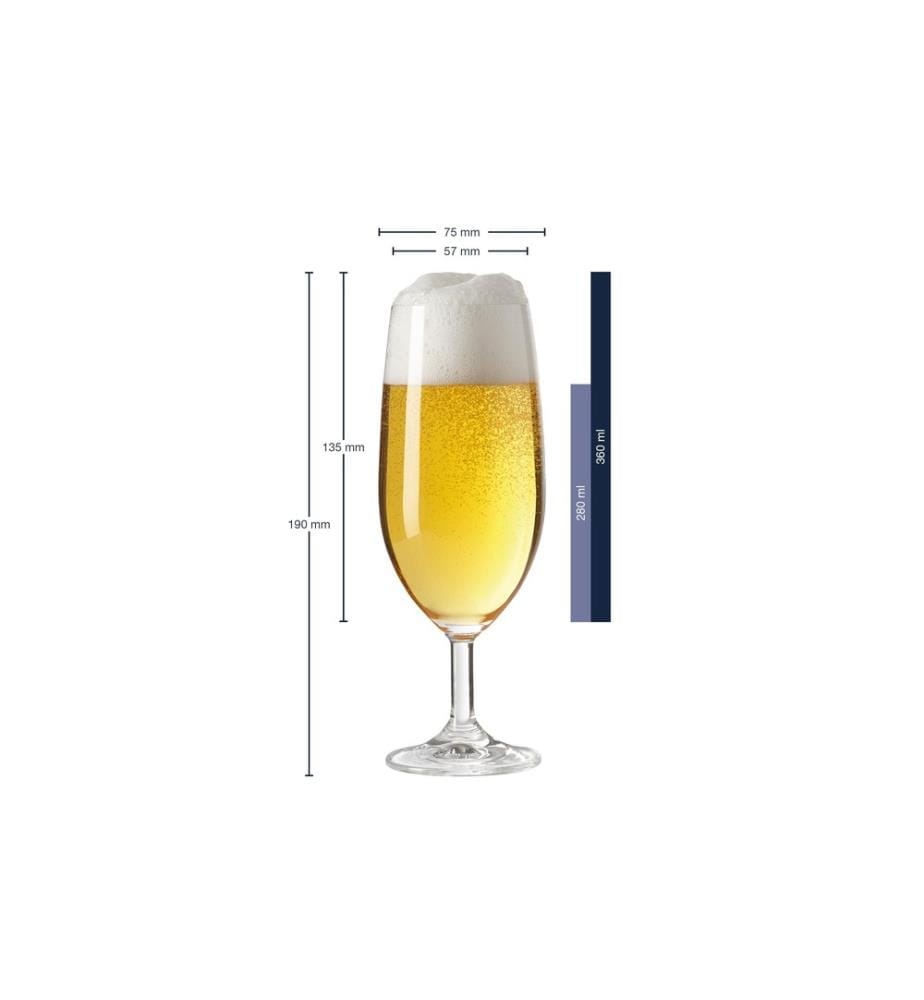 LEONARDO - Bierglas Daily 280 ml, 6 Stück, Transparent