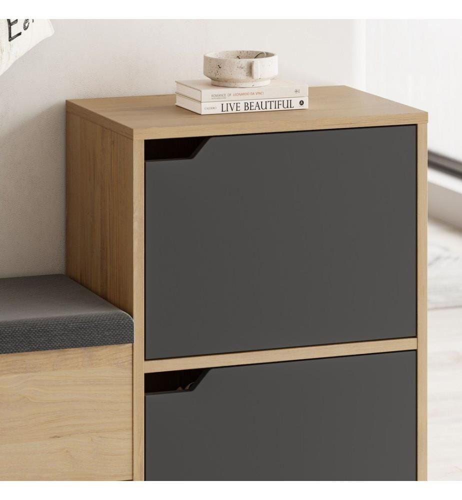 Schuhschrank, Anthrazit, Eiche, melaminbeschichtete Spanplatte, Stoff: Polyester