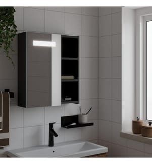 Spiegelschrank mit LED-Beleuchtung Schwarz 45x13x52 cm