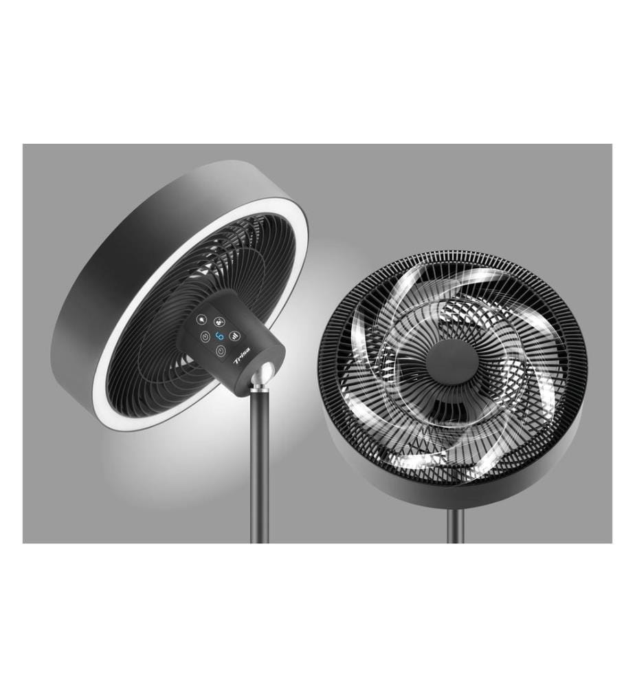 Standventilator - Anthrazit