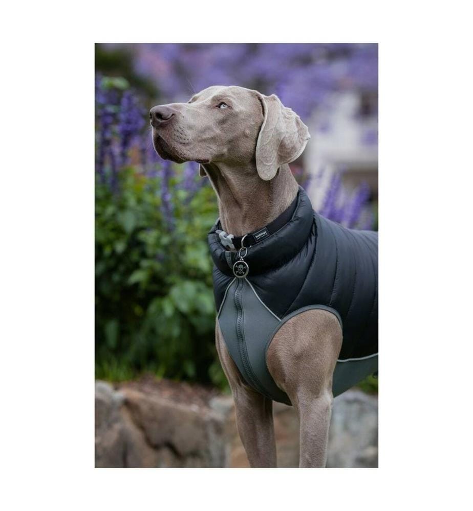 Manteau pour Chien Matelassé 45 cm - Noir/Gris