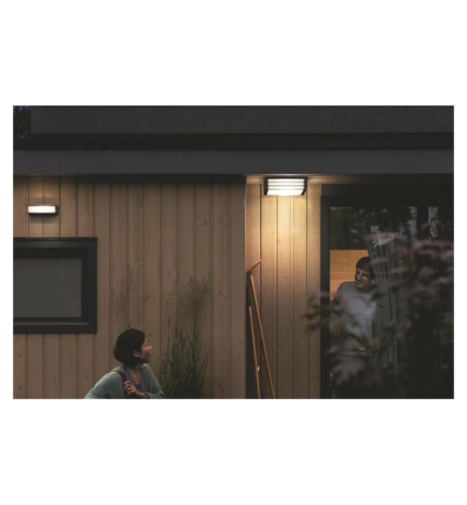 PHILIPS - Lampe murale Moonshine 2 x E27, 2 x 14 W, anthracite