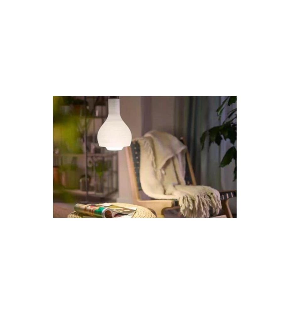 PHILIPS - Lampe LED 60W A60 E27 WW FR ND 2CT/6 EC Blanc chaud (WW)