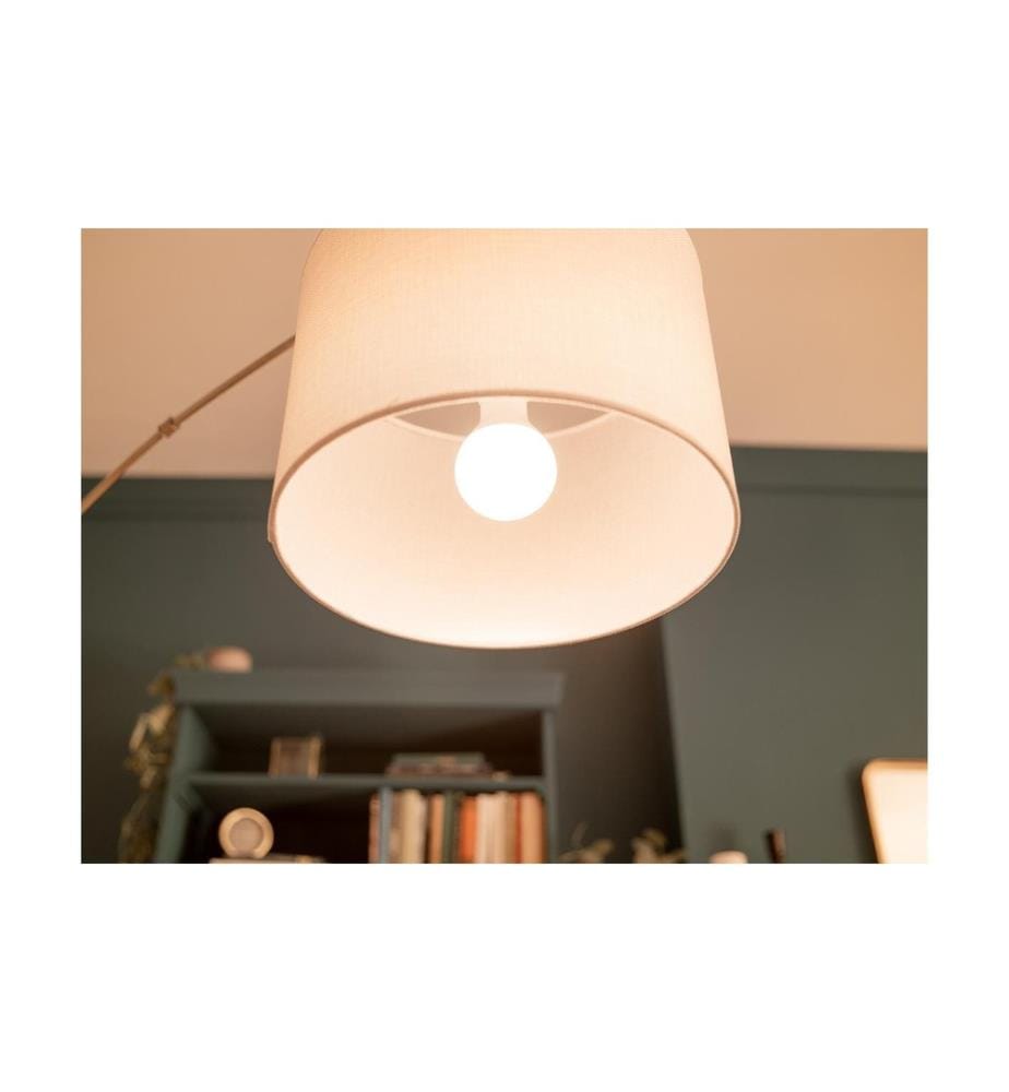 PHILIPS - Lampe LED 100W A67 E27 WW FR ND 2CT/6 EC Blanc chaud (WW)