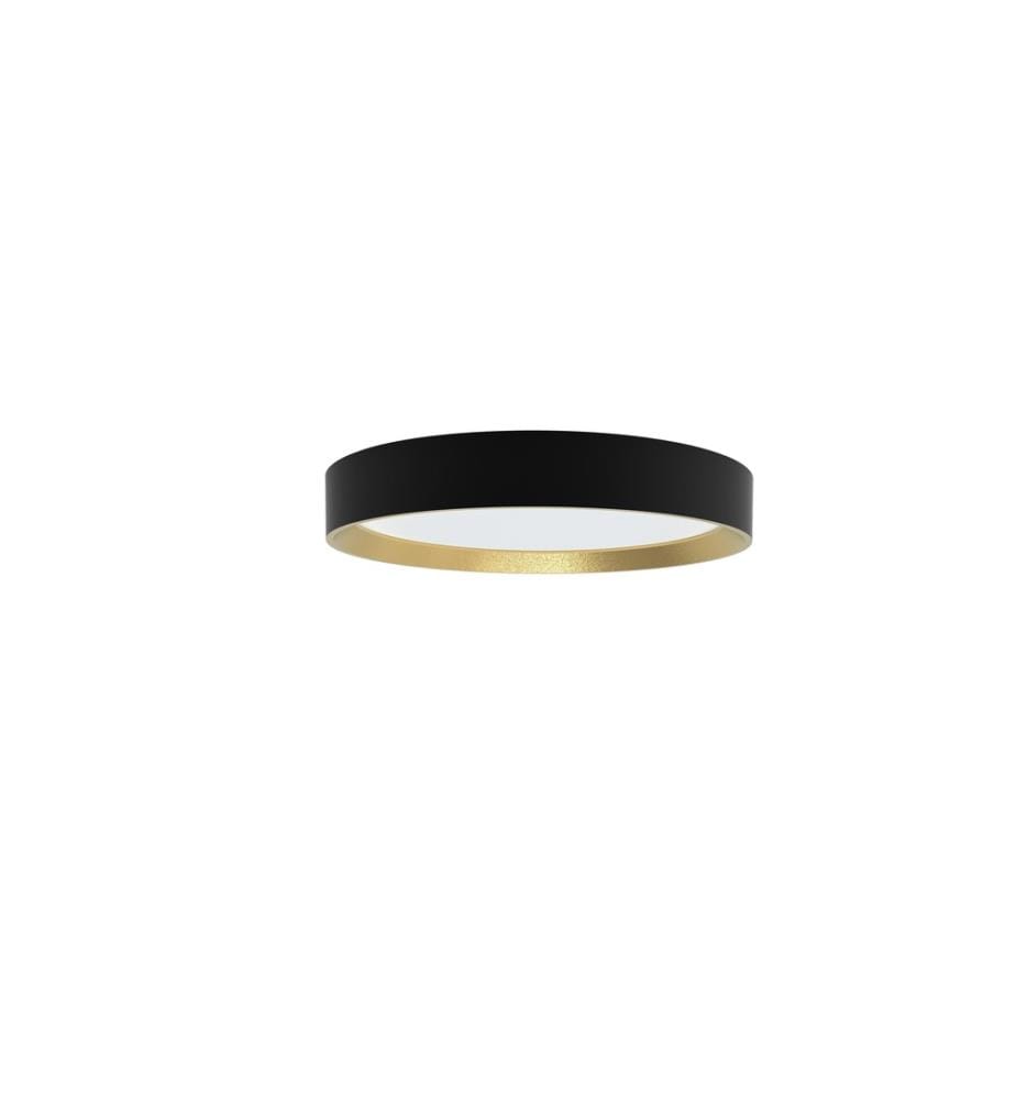 PHILIPS - Plafonnier Hanno SceneSwitch 2700K, 2700 Lm, noir-or