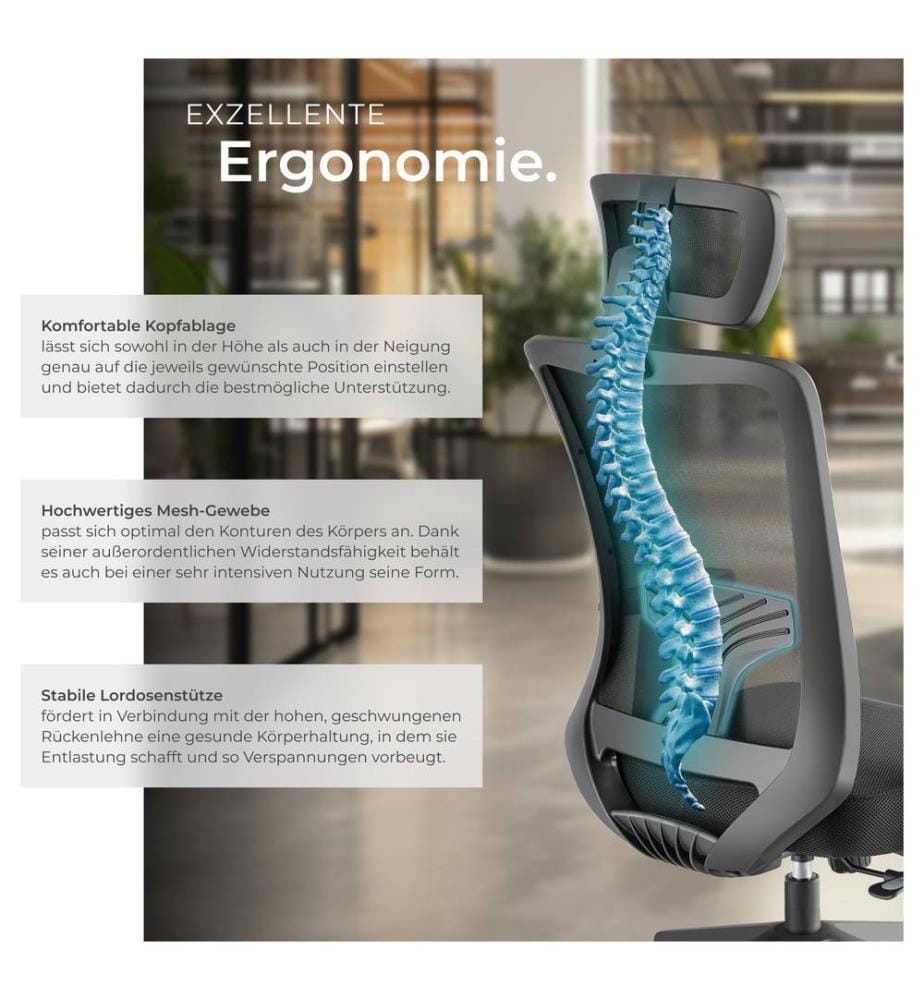 Bürostuhl Phoibe ergonomisch mit verstellbarer Kopfstütze - schwarz