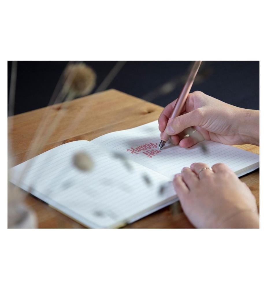 SCHNEIDER - Stylo plume Callissima 1.1 mm, Rosé