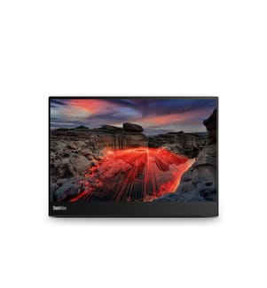 LENOVO - Moniteur ThinkVision M14t Gen. 2